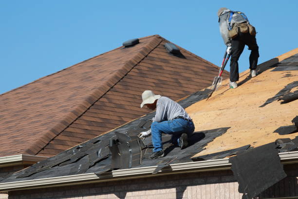 Best Roof Insulation Installation  in Lanse, MI