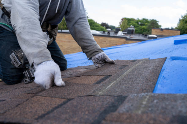 Best Flat Roofing  in Lanse, MI