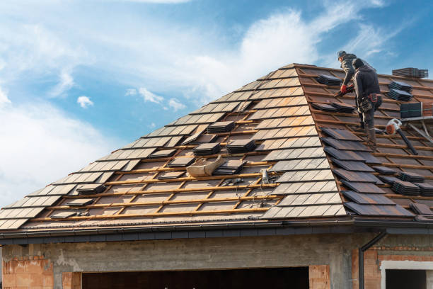 Best Skylight Installation and Repair  in Lanse, MI