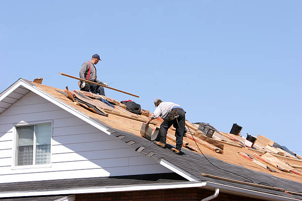 Best Green or Eco-Friendly Roofing Solutions  in Lanse, MI